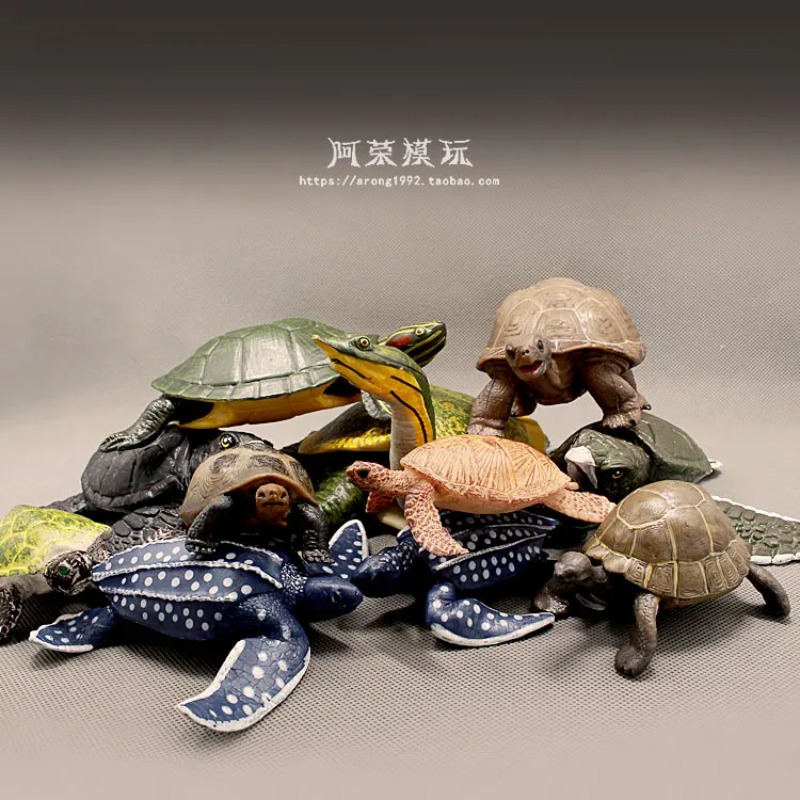 Ocean Aquarium - Cuirback tortue aux oreilles rouges terre