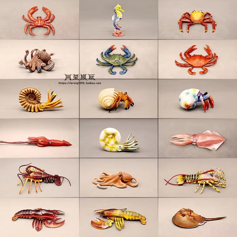 Aquarium Marine World - Modèle de mini poissons du monde