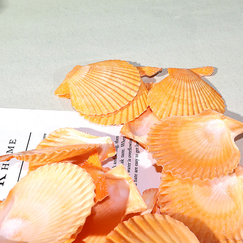 Marine Fish Tank - Meilleur coquille de pétoncle jaune, paysage