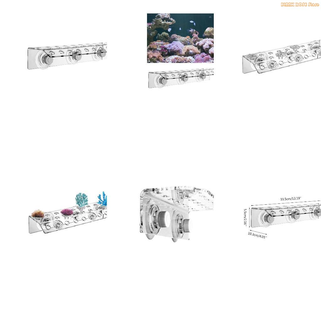 Reef Aquarium - K1AE support corail en acrylique pour