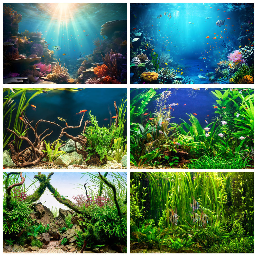 Aquarium Marine World - Sous la mer fonds marins monde