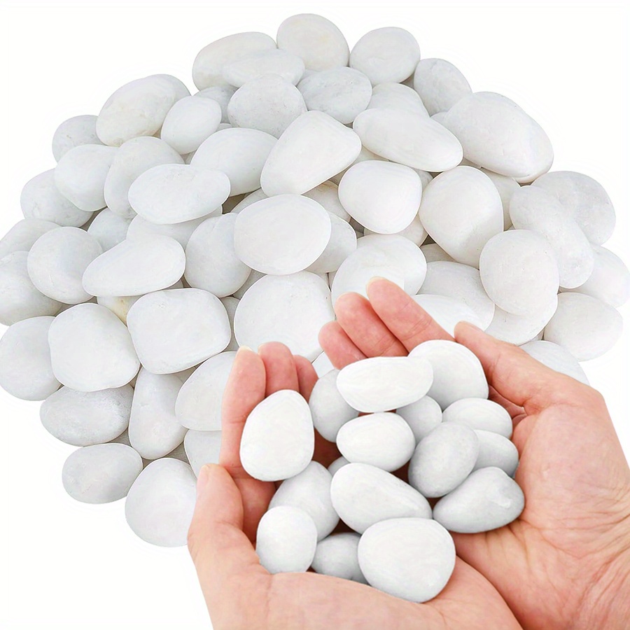Marine Fish Tank - Cerfsets naturels blancs hautement polis, 200/400g,