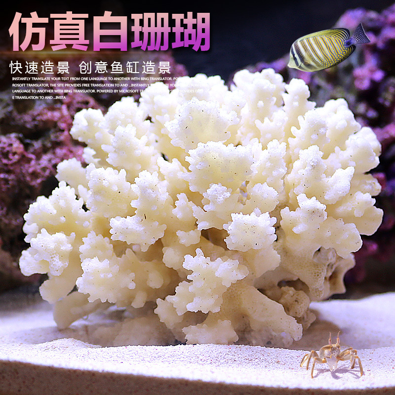Marine Aquarium Epoxy - Kit de Décoration pour Petit Aquarium