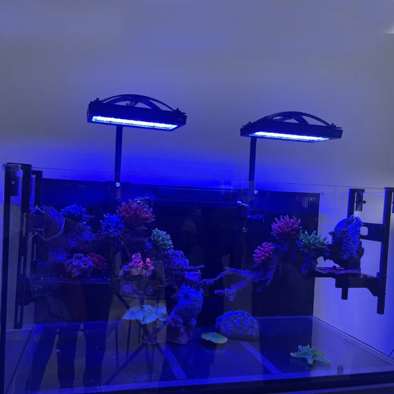 Lampes LED pour récifs coralli - Reef Lighting avis et prix