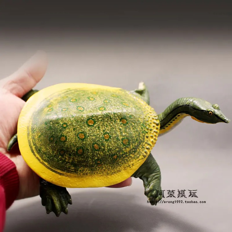 Cuirback tortue aux oreilles r - Ocean Aquarium avis et prix