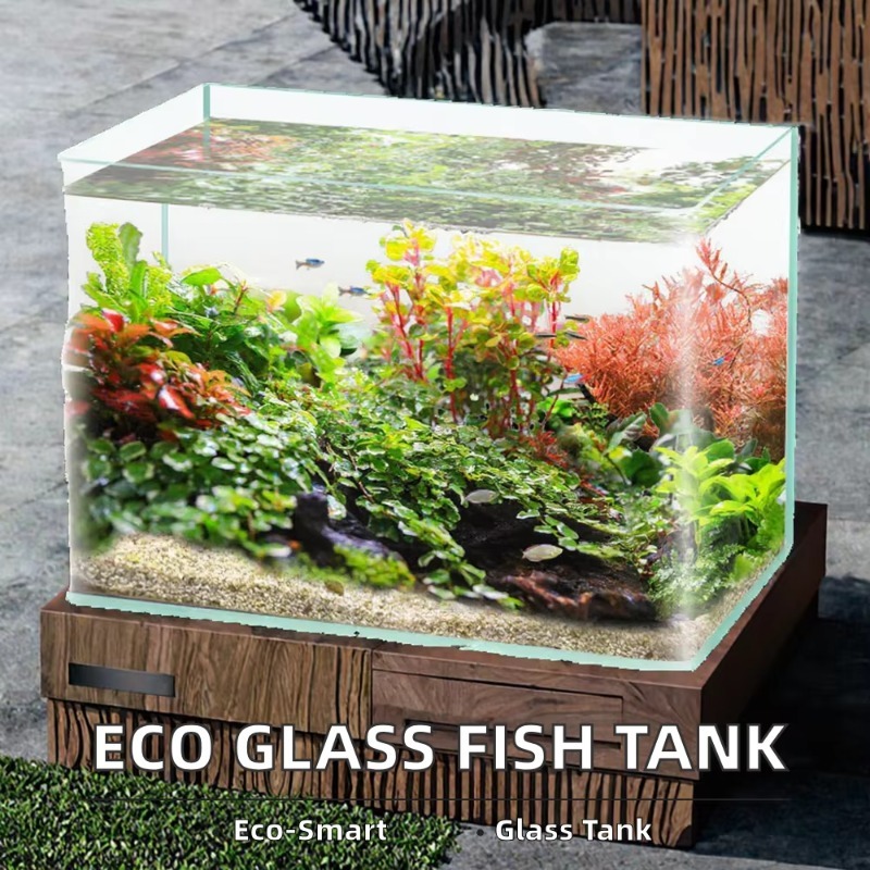 Boîte d'emballage pour Aquariu - Saltwater Tank avis et prix