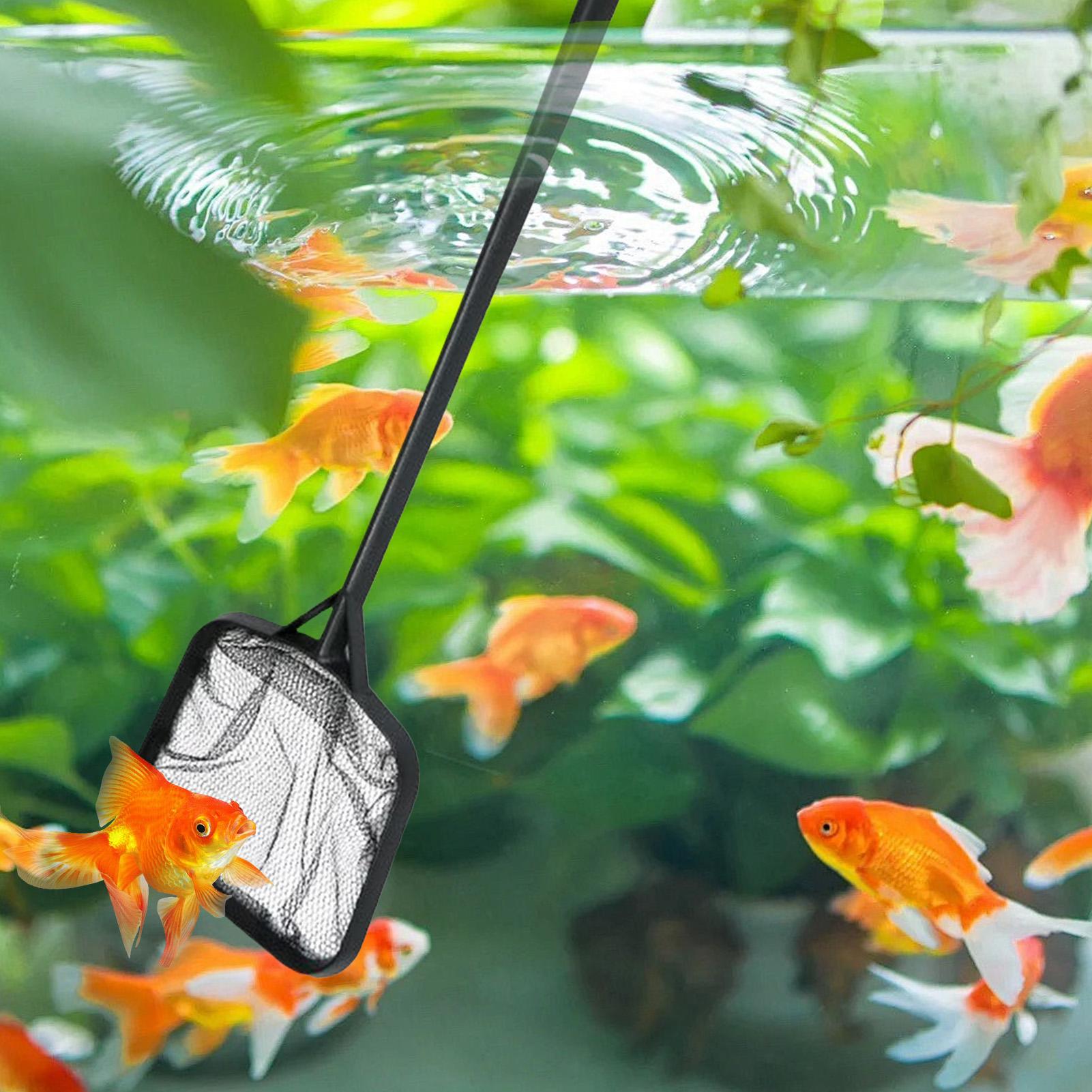 Filets de nettoyage pour pisci - Marine Aquarium avis et prix