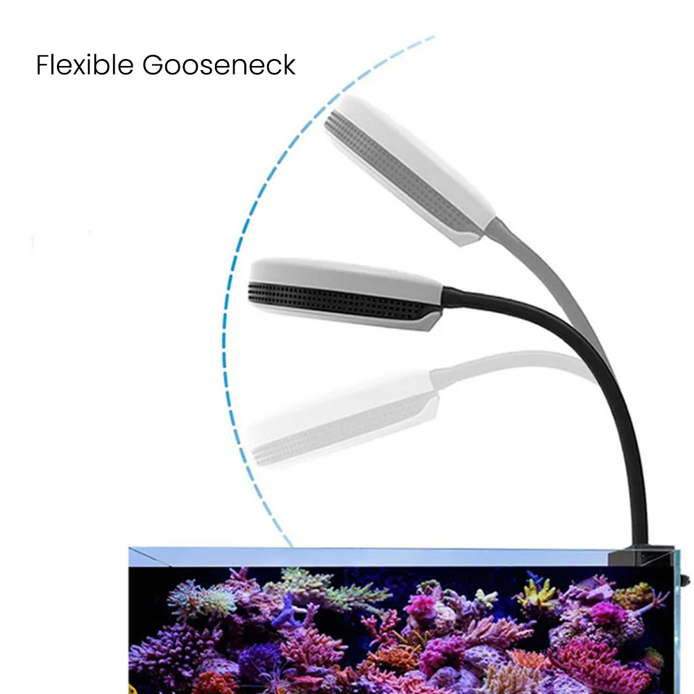 Lampe LED Spectra SP20 20W pou - Reef Lighting avis et prix