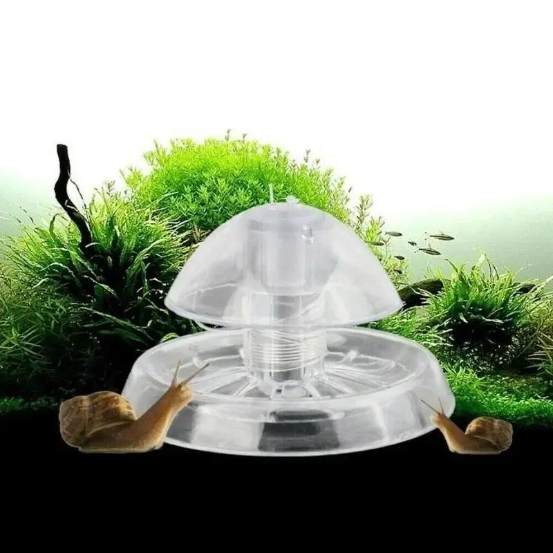 Nouvelle boîte piège à escargo - Marine Aquarium avis et prix