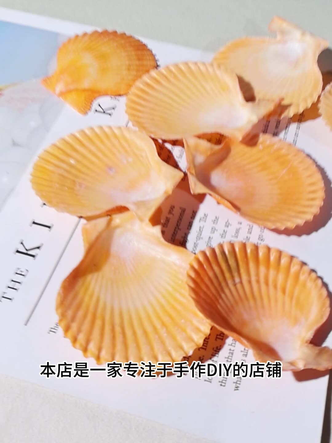 Meilleur coquille de pétoncle  - Marine Fish Tank avis et prix