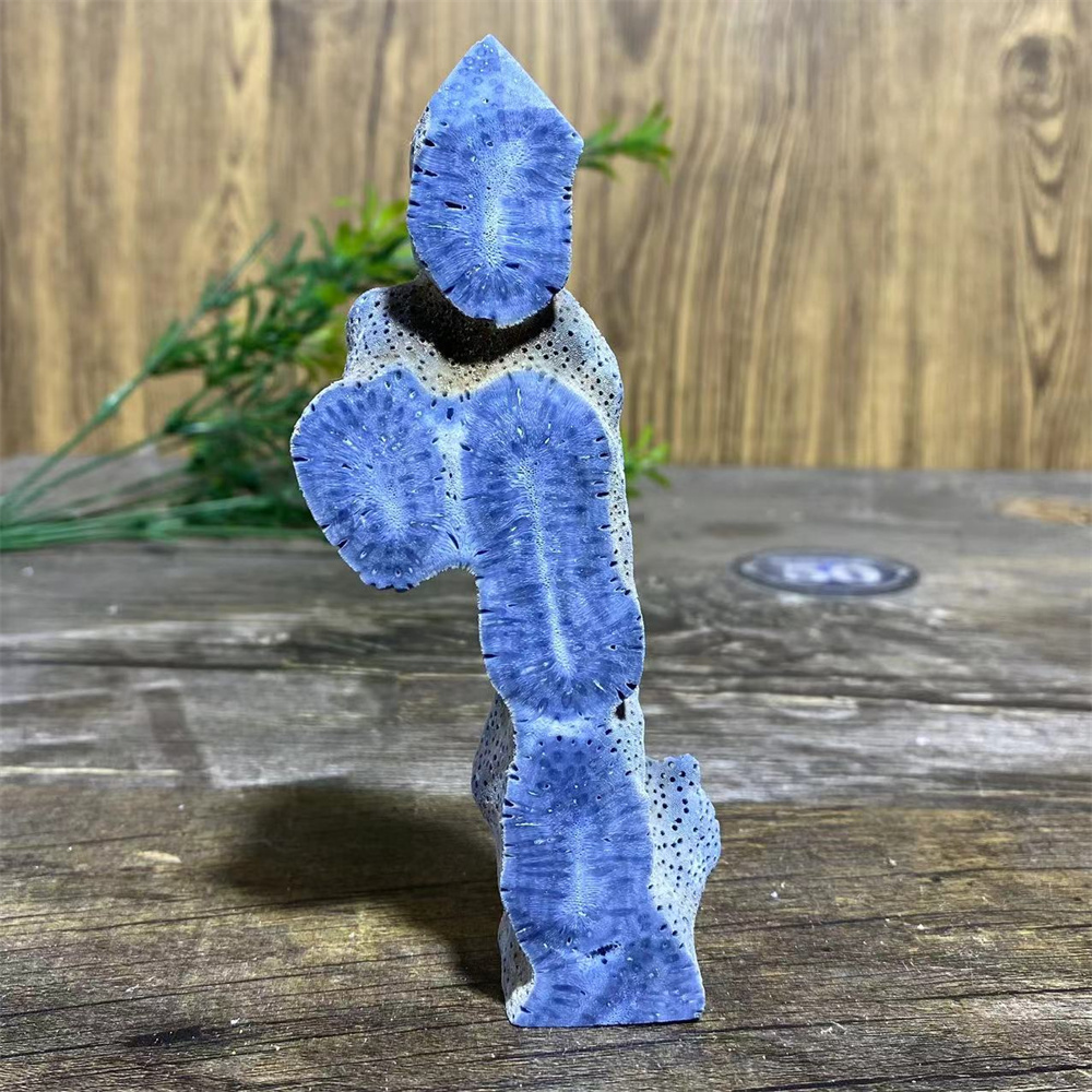Spécimen de corail bleu nature - Marine Coral avis et prix