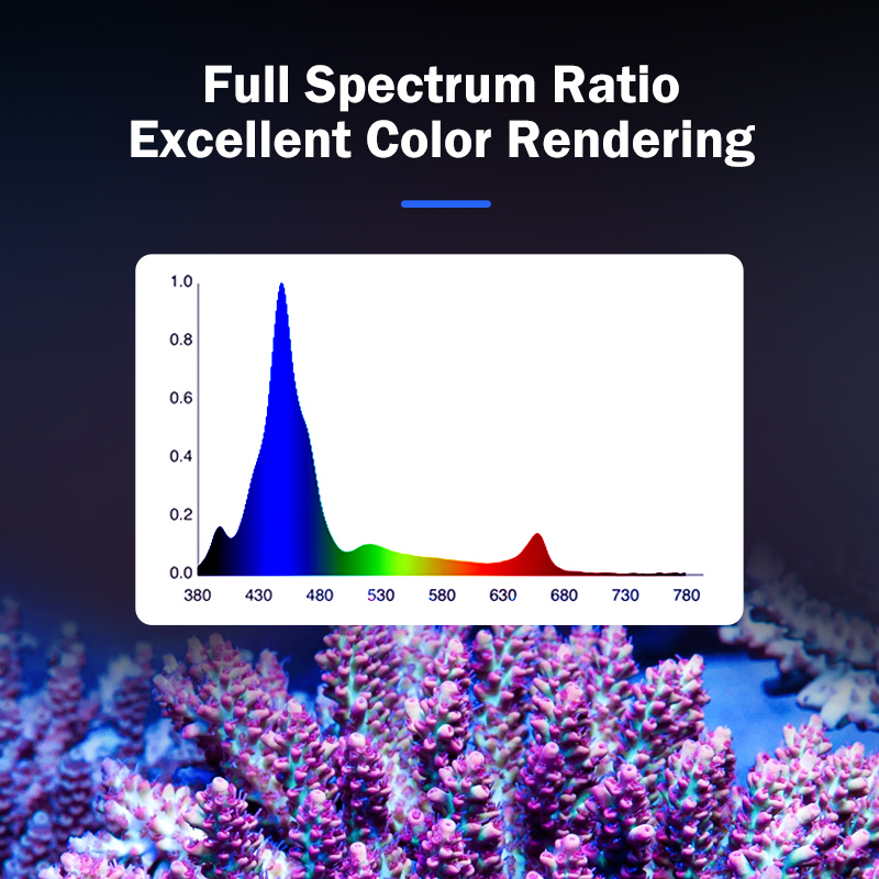 Lampe LED à spectre complet po - Reef Aquarium avis et prix