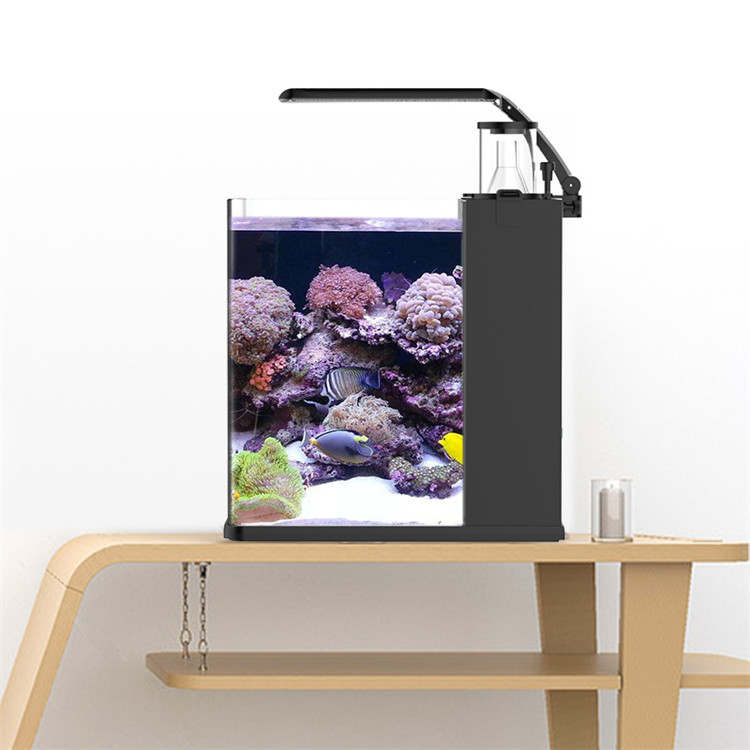 Skynuo Mini Aquarium Marin en  - Marine Aquarium Cube avis et prix