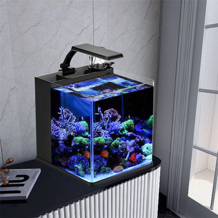 Skynuo Mini Aquarium Marin en  - Marine Aquarium Cube avis et prix