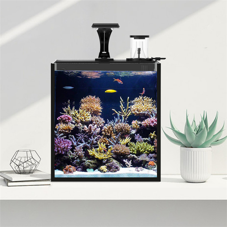 Skynuo Mini Aquarium Marin en  - Marine Aquarium Cube avis et prix
