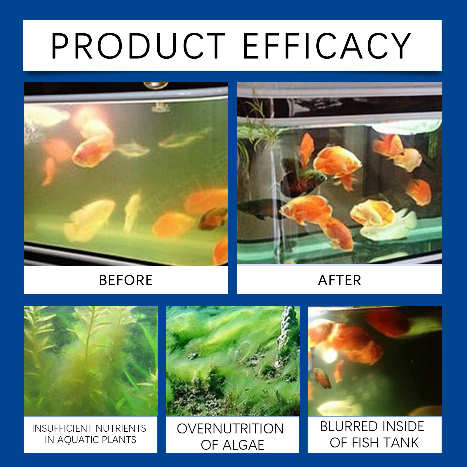 Chiarificateur d'eau d'aquariu - Saltwater Tank avis et prix