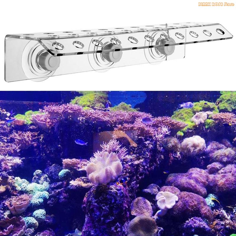 K1AE support corail en acryliq - Reef Aquarium avis et prix