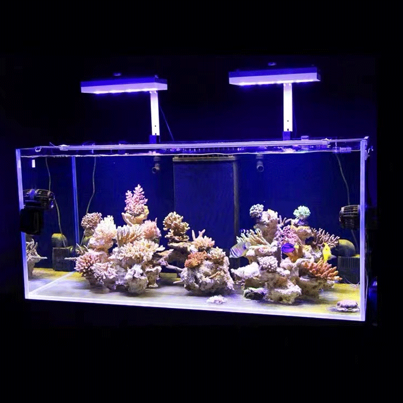Aqua Illumination AI Hydra 32H - Reef Lighting avis et prix