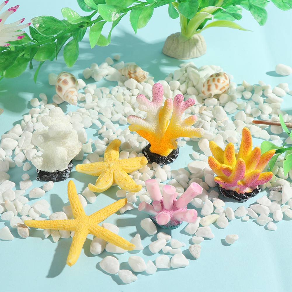 Ornements en résine d'étoile d - Reef Aquarium avis et prix