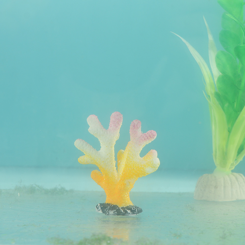 Ornements en résine d'étoile d - Reef Aquarium avis et prix