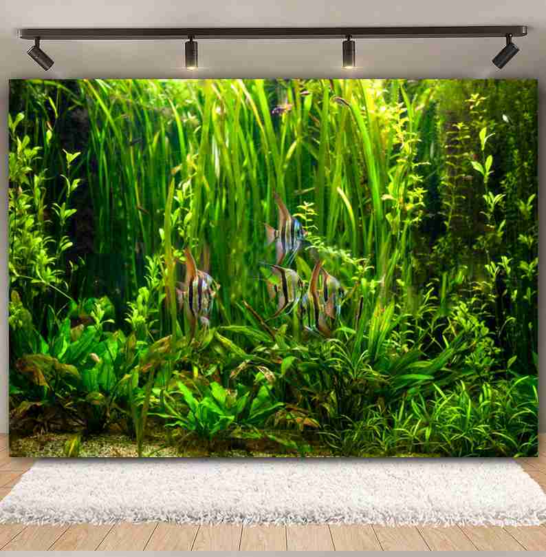 Sous la mer fonds marins monde - Aquarium Marine World avis et prix
