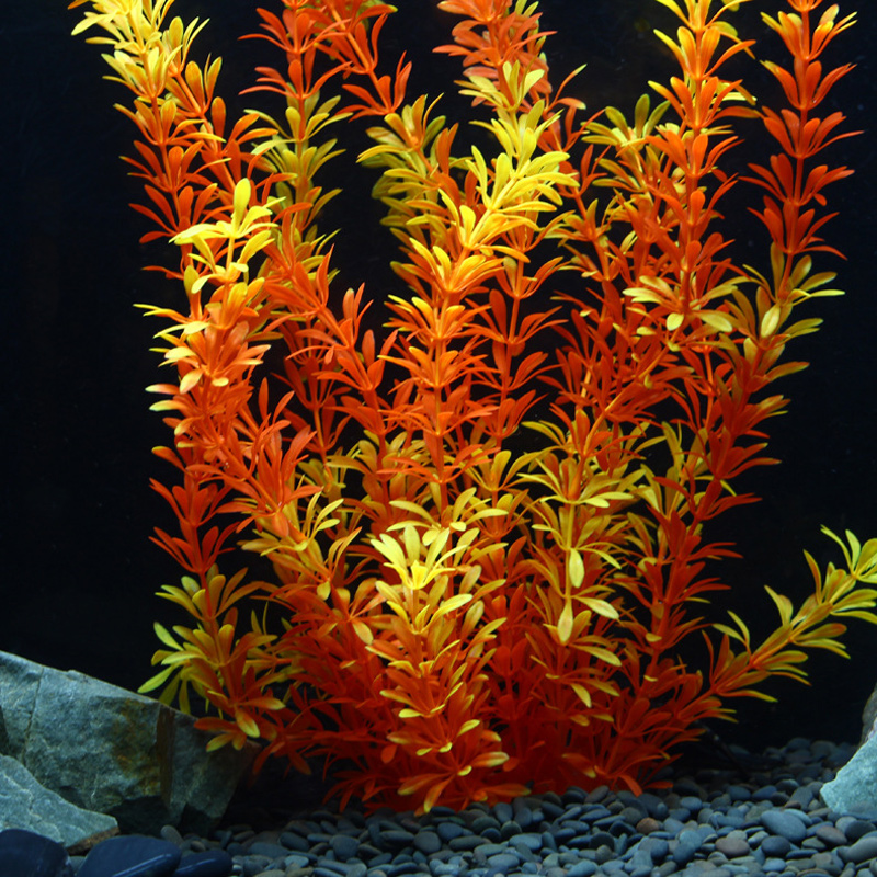 Plantes tropicales artificiell - Marine Fish Tank avis et prix