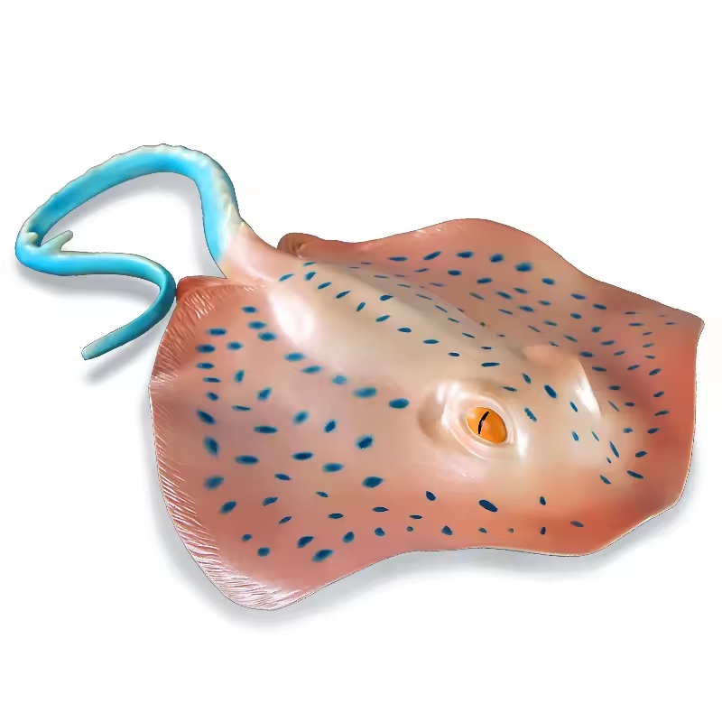Modèle d'animal marin simulé,  - Aquarium Marine World avis et prix