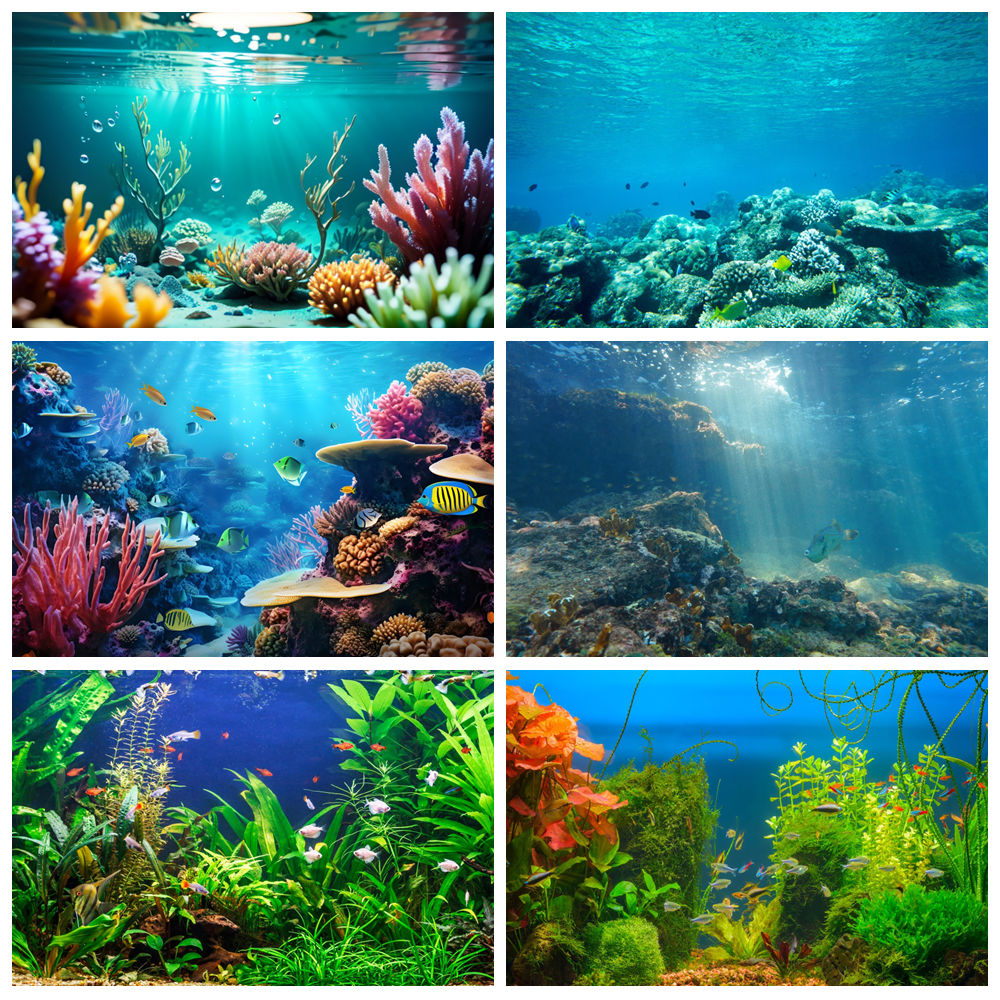 Monde sous-marin fond de mer p - Aquarium Marine World avis et prix
