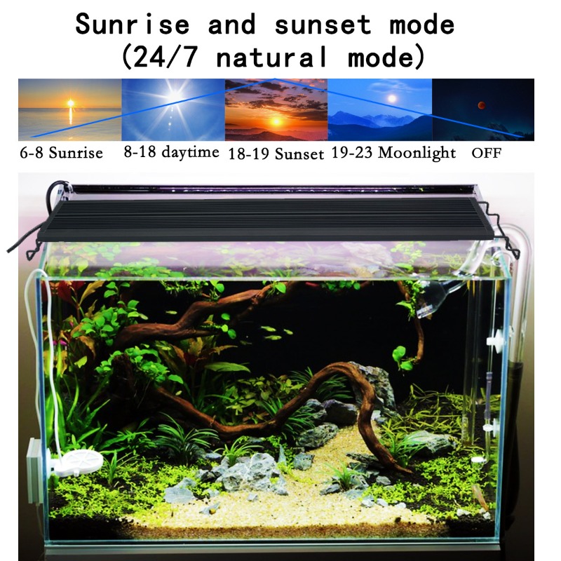 Lampe LED pour aquarium, spect - Reef Lighting avis et prix