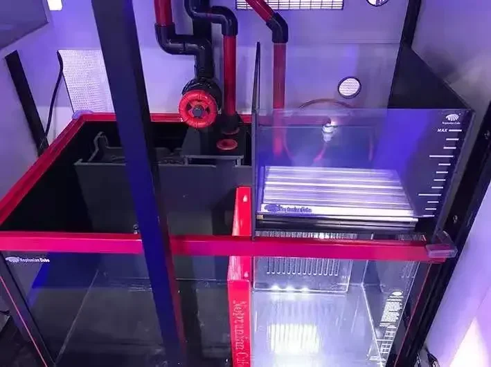 Lumière LED Neptunian Cube Ref - Marine Aquarium Cube avis et prix
