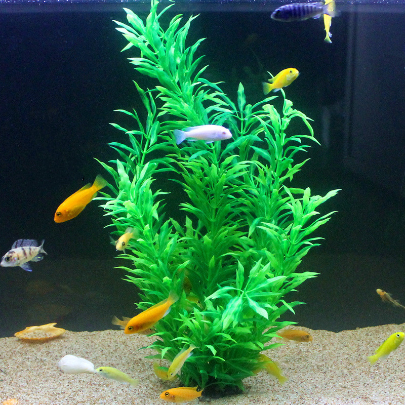 Plantes artificielles pour aqu - Marine Fish Tank avis et prix