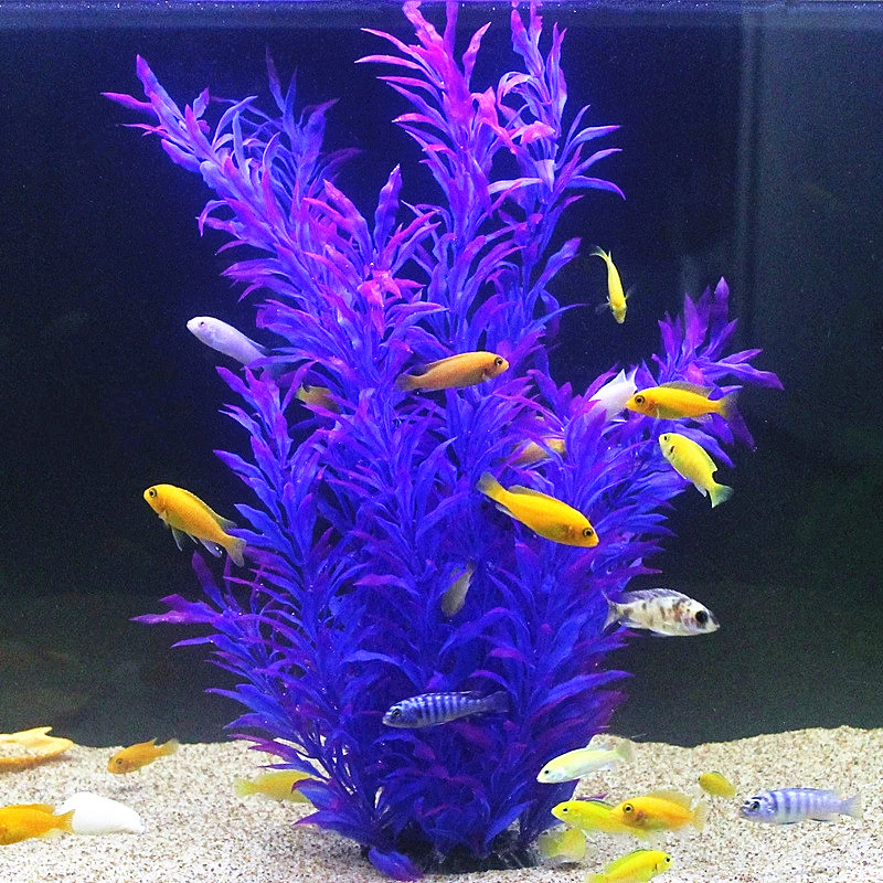Plantes artificielles pour aqu - Marine Fish Tank avis et prix